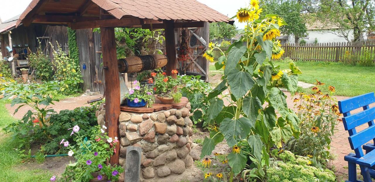 Apartmán "Jutrzenka" Białowieża Exteriér fotografie