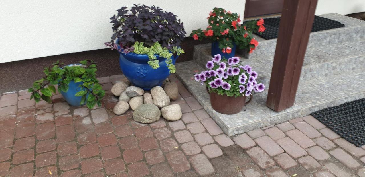 Apartmán "Jutrzenka" Białowieża Exteriér fotografie